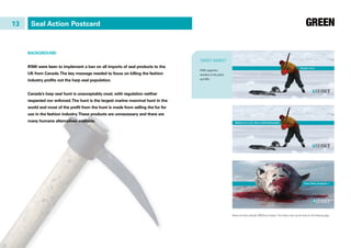 TARGET MARKET
IFAW supporters,
members of the public
and MPs.
Seal Action Postcard
BACKGROUND
IFAW were keen to implement a ban on all imports of seal products to the
UK from Canada.The key message needed to focus on killing the fashion
industry profits not the harp seal population.
Canada’s harp seal hunt is unacceptably cruel, with regulation neither
respected nor enforced.The hunt is the largest marine mammal hunt in the
world and most of the profit from the hunt is made from selling the fur for
use in the fashion industry.These products are unnecessary and there are
many humane alternatives available.
13
Above are three concepts GREEN put forward. The chosen route can be found on the following page.
 