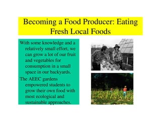 Becoming a Food Producer: Eating
       Fresh Local Foods
With some knowledge and a
  relatively small effort, we
  can grow a lot of our fruit
  and vegetables for
  consumption in a small
  space in our backyards.
The AEEC gardens
  empowered students to
  grow their own food with
  most ecological and
  sustainable approaches.
 