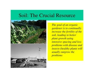 Soil: The Crucial Resource
               The goal of an organic
               gardener is to continually
               increase the fertility of the
               soil, leading to better
               plant growth using
               intensive spacing and less
               problems with disease and
               insects (healthy plants will
               usually outgrow the
               problems
 