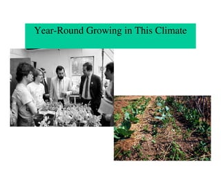 Year-Round Growing in This Climate
 