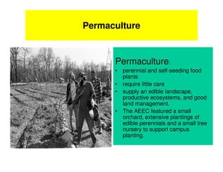 Permaculture


      Permaculture:
      • perennial and self-seeding food
        plants
      • require little care
      • supply an edible landscape,
        productive ecosystems, and good
        land management.
      • The AEEC featured a small
        orchard, extensive plantings of
        edible perennials and a small tree
        nursery to support campus
        planting.
 