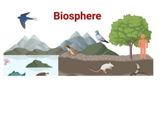 AEC EVS notes (1).pdf ( ENVIRONMENTAL SCIENCE) | PDF
