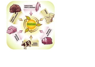 AEC EVS notes (1).pdf ( ENVIRONMENTAL SCIENCE) | PDF