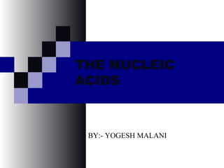 THE NUCLEIC
ACIDS
BY:- YOGESH MALANI
 