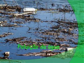 Poluição da água
 