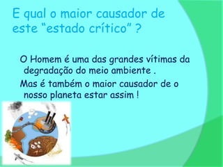 E qual o maior causador de
este “estado crítico” ?

 O Homem é uma das grandes vítimas da
  degradação do meio ambiente .
 Mas é também o maior causador de o
  nosso planeta estar assim !
 