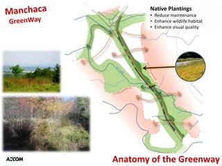Native Plantings
        • Reduce maintenance
        • Enhance wildlife habitat
        • Enhance visual quality




Anatomy of the Greenway
 