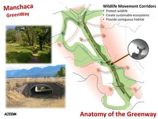 Wildlife Movement Corridors
      • Protect wildlife
      • Create sustainable ecosystems
      • Provide contiguous habitat




Anatomy of the Greenway
 