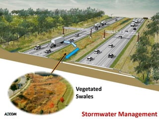 Vegetated
Swales

  Stormwater Management
 