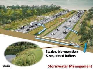 Swales, bio-retention
& vegetated buffers

 Stormwater Management
 