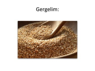 Gergelim:
 