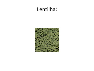 Lentilha:
 