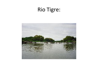 Rio Tigre:
 