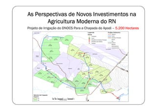 As Perspectivas de Novos Investimentos na
       Agricultura Moderna do RN
Projeto de Irrigação do DNOCS Para a Chapada do Apodi – 5.200 Hectares
 