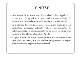SÍNTESE
Nos últimos 30 anos ocorreu a derrocada da cultura algodoeira e
a emergência da agricultura irrigada moderna, com produção de
frutas tropicais voltadas sobretudo ao mercado internacional;
A tendência dos próximos anos é uma maior expansão dessa
agricultura moderna, incluindo nela os assentamentos de
reforma agrária e o aproveitamento da barragem de Santa Cruz
(Apodi) e dos solos da Chapada do Apodi;
O pólo Baraúna-Mossoró aparece como o núcleo central dessa
agricultura moderna, mas que também está presente na Região
doVale do Açu e na porção Leste do estado.
 