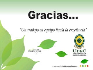 Gracias… “ Un trabajo en equipo hacia la excelencia” Universidad de Cundinamarca 
