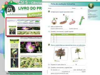 86 | 87 Articulação com o   Caderno de Actividades 