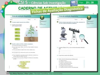 25 | 39 Fichas de Avaliação Diagnóstica  