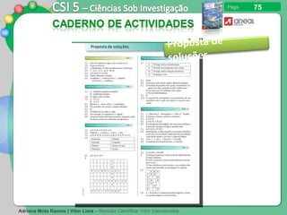 75 Proposta de soluções 