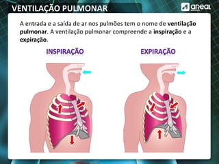 VENTILAÇÃO PULMONAR
A entrada e a saída de ar nos pulmões tem o nome de ventilação
pulmonar. A ventilação pulmonar compreende a inspiração e a
expiração.
 