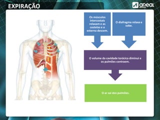 EXPIRAÇÃO
O diafragma relaxa e
sobe.
Os músculos
intercostais
relaxam e as
costelas e o
esterno descem.
O volume da cavidade torácica diminui e
os pulmões contraem.
O ar sai dos pulmões.
 