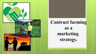Contract farming
as a
marketing
strategy.
1
 