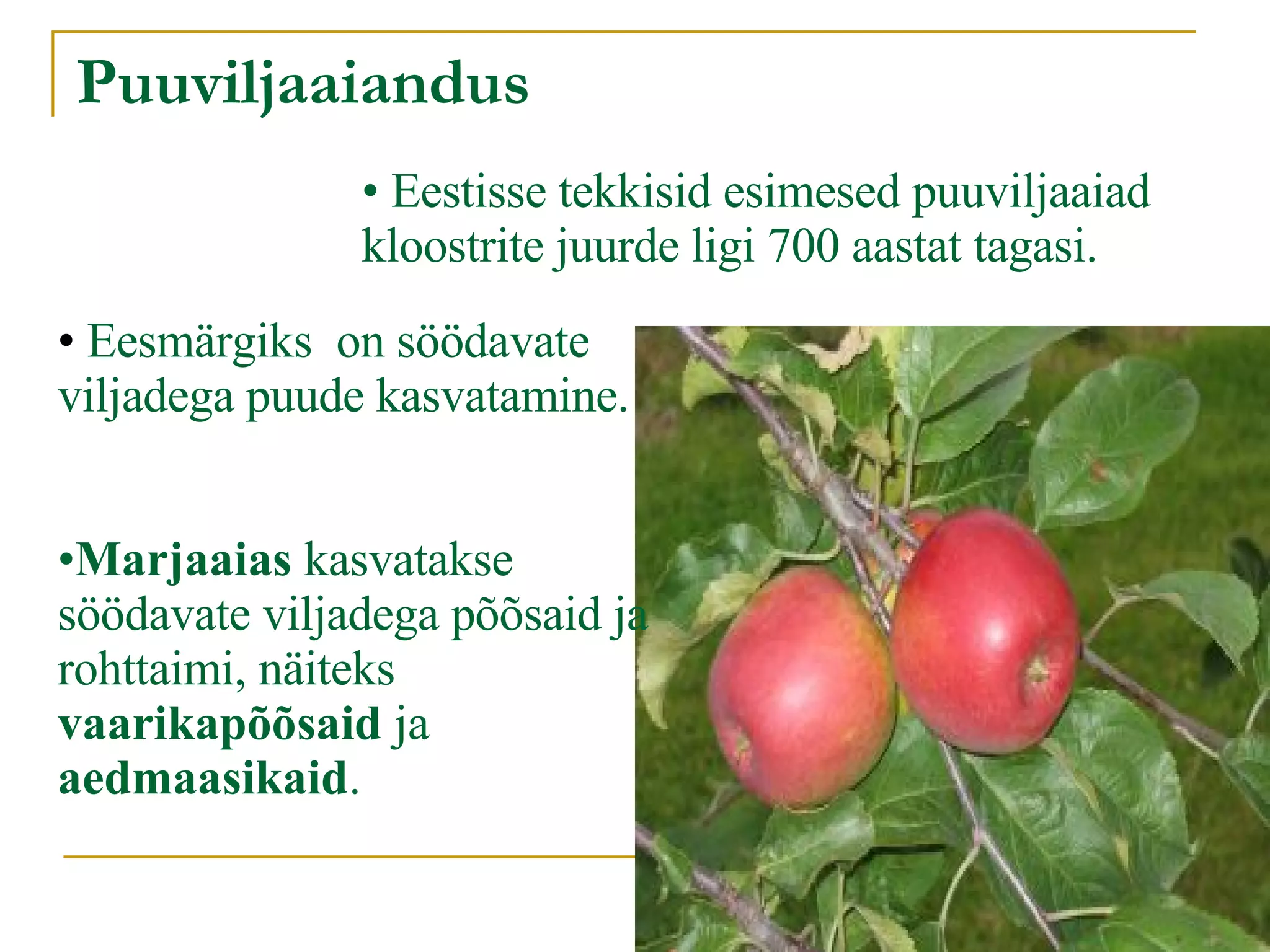 Puuviljaaiandus Eestisse tekkisid esimesed puuviljaaiad kloostrite juurde ligi 700 aastat tagasi.  Eesmärgiks  on söödavate viljadega puude kasvatamine. Marjaaias  kasvatakse söödavate viljadega põõsaid ja rohttaimi, näiteks  vaarikapõõsaid  ja  aedmaasikaid . 