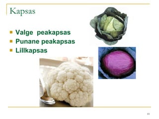 Kapsas Valge  peakapsas Punane peakapsas  Lillkapsas 