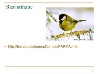 Rasvatihane http://bio.edu.ee/loomad/Linnud/PARMAJ.htm 