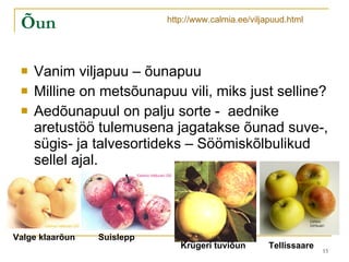 Õun Vanim viljapuu – õunapuu Milline on metsõunapuu vili, miks just selline? Aedõunapuul on palju sorte -  aednike aretustöö tulemusena jagatakse õunad suve-, sügis- ja talvesortideks – Söömiskõlbulikud sellel ajal. Valge klaarõun   Suislepp   Krügeri tuviõun   http://www.calmia.ee/viljapuud.html Tellissaare 