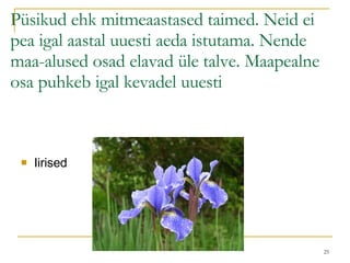 Püsikud ehk mitmeaastased taimed. Neid ei pea igal aastal uuesti aeda istutama. Nende maa-alused osad elavad üle talve. Maapealne osa puhkeb igal kevadel uuesti Iirised  