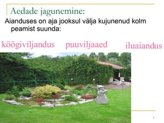 Aedade jagunemine: Aianduses on aja jooksul välja kujunenud kolm peamist suunda: puuviljaaed köögiviljandus iluaiandus 