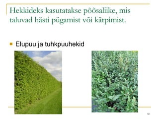 Hekkideks kasutatakse põõsaliike, mis taluvad hästi pügamist või kärpimist. Elupuu ja tuhkpuuhekid 