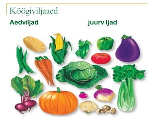Köögiviljaaed Aedviljad  juurviljad 