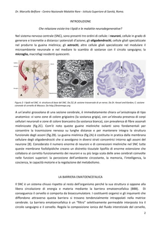 M.Belfiore-Grassi alimentari e malattie neurodegenerative | PDF