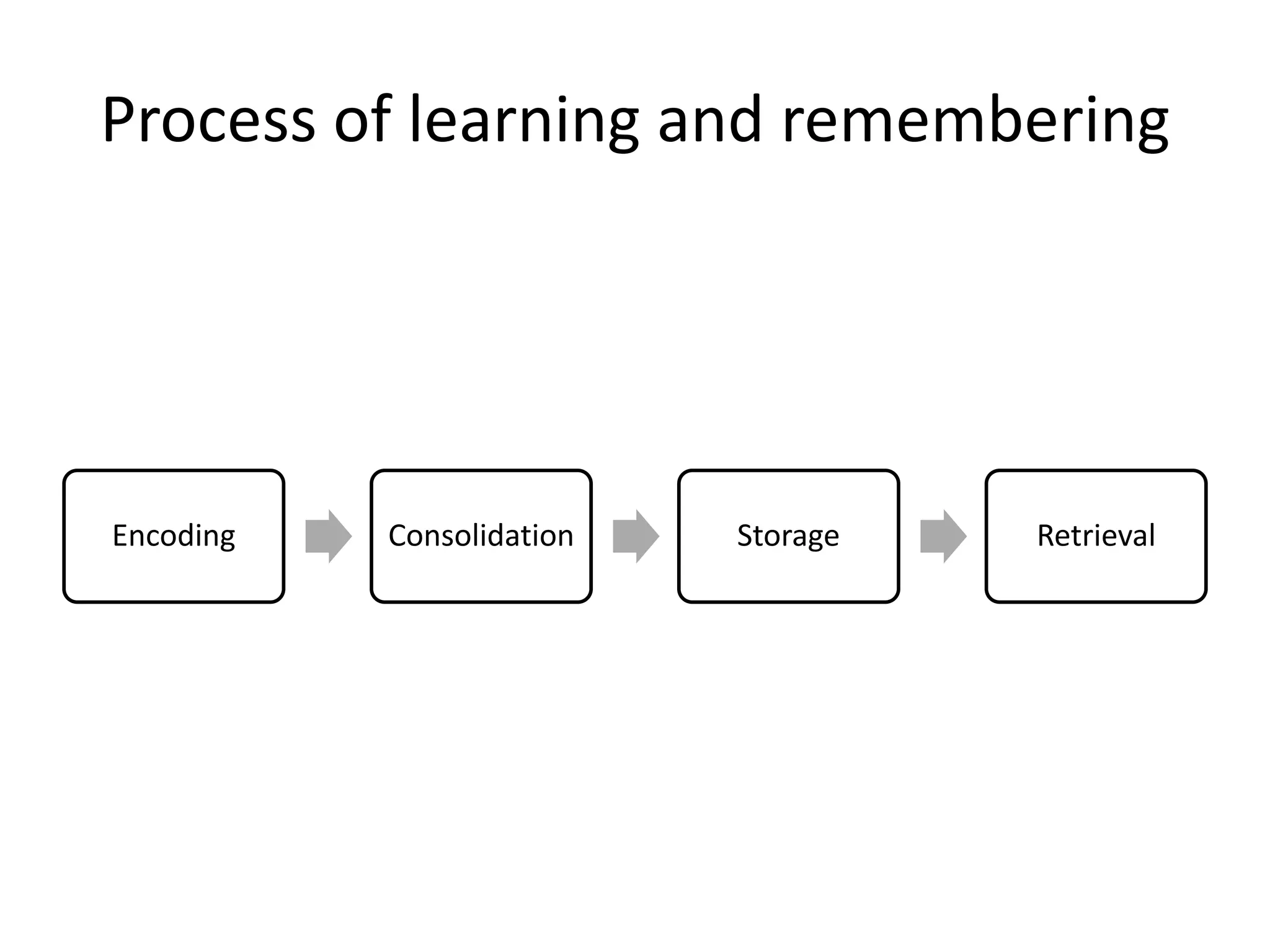 Process of learning and remembering