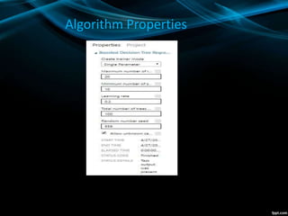 Algorithm Properties
 