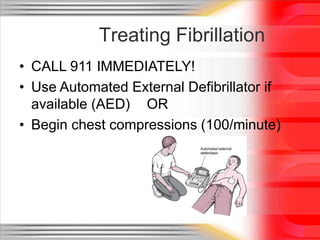 Ecg First Aid AED & Basic ECG - Full Basic Life Support 2016 | PPT