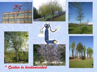 Cuidar la biodiversidad 