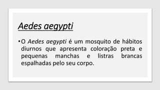 Aedes aegypti
•O Aedes aegypti é um mosquito de hábitos
diurnos que apresenta coloração preta e
pequenas manchas e listras brancas
espalhadas pelo seu corpo.
 