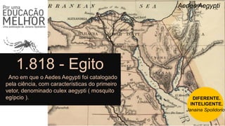 Aedes Aegypti
1.818 - Egito
Ano em que o Aedes Aegypti foi catalogado
pela ciência, com características do primeiro
vetor, denominado culex aegypti ( mosquito
egípcio ). DIFERENTE.
INTELIGENTE.
Janaina Spolidorio
 