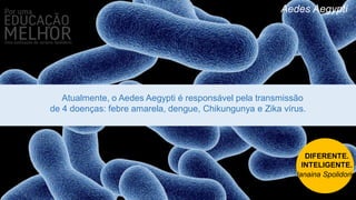 Aedes Aegypti
Atualmente, o Aedes Aegypti é responsável pela transmissão
de 4 doenças: febre amarela, dengue, Chikungunya e Zika vírus.
DIFERENTE.
INTELIGENTE.
Janaina Spolidorio
 