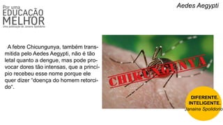 Aedes Aegypti
A febre Chicungunya, também trans-
mitida pelo Aedes Aegypti, não é tão
letal quanto a dengue, mas pode pro-
vocar dores tão intensas, que a princí-
pio recebeu esse nome porque ele
quer dizer “doença do homem retorci-
do“.
DIFERENTE.
INTELIGENTE.
Janaina Spolidorio
 