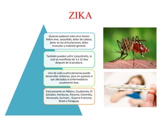 ZIKA
Quienes padecen este virus tienen
fiebre leve, sarpullido, dolor de cabeza,
dolor en las articulaciones, dolor
muscular y malestar general.
También pueden sufrir conjuntivitis, la
cual se manifiesta de 3 a 12 días
después de la picadura.
Una de cada cuatro personas puede
desarrollar síntomas, pero en quienes sí
son afectados la enfermedad es
usualmente leve.
Está presente en México, Guatemala, El
Salvador, Honduras, Panamá, Colombia,
Venezuela, Surinam , Guyana Francesa,
Brasil y Paraguay.
 