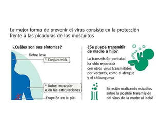 dengue, zika, chicungunya