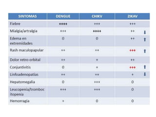 dengue, zika, chicungunya