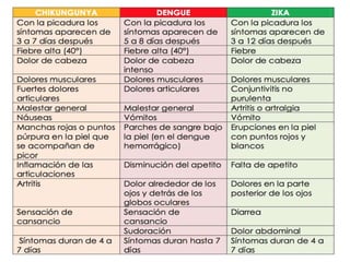 dengue, zika, chicungunya