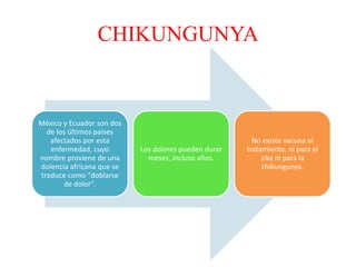 CHIKUNGUNYA
México y Ecuador son dos
de los últimos países
afectados por esta
enfermedad, cuyo
nombre proviene de una
dolencia africana que se
traduce como "doblarse
de dolor".
Los dolores pueden durar
meses, incluso años.
No existe vacuna ni
tratamiento, ni para el
zika ni para la
chikungunya.
 