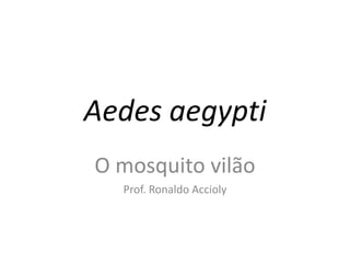 Aedes aegypti
O mosquito vilão
Prof. Ronaldo Accioly
 