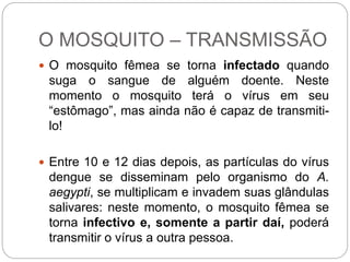 O MOSQUITO – TRANSMISSÃO
 O mosquito fêmea se torna infectado quando
suga o sangue de alguém doente. Neste
momento o mosquito terá o vírus em seu
“estômago”, mas ainda não é capaz de transmiti-
lo!
 Entre 10 e 12 dias depois, as partículas do vírus
dengue se disseminam pelo organismo do A.
aegypti, se multiplicam e invadem suas glândulas
salivares: neste momento, o mosquito fêmea se
torna infectivo e, somente a partir daí, poderá
transmitir o vírus a outra pessoa.
 